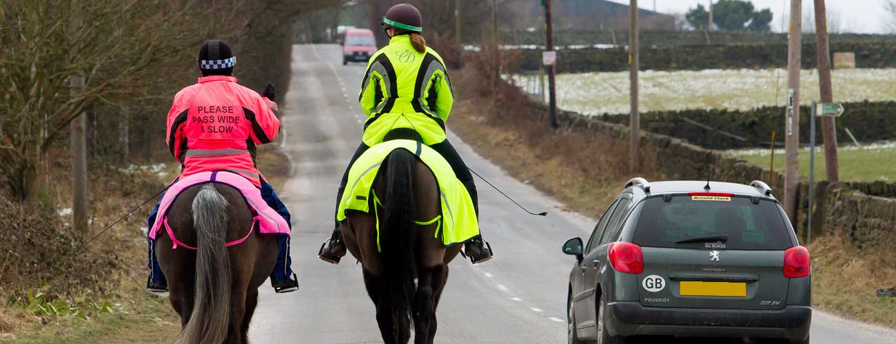 horse-riders-for-other-road-users